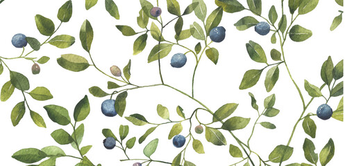 Blueberry leaves branches with berries. Watercolor pattern isolated on transparent background. Great for wedding invitation, greeting cards, decoration, stationery - 528672581