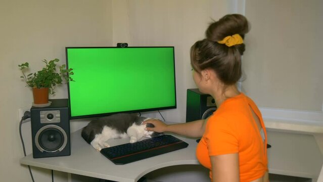 Girl is typing text on the keyboard then strokes the pet's head and turns around with smile. Chromakey on computer screen. Video with a chroma key on the screen to insert any video or image.