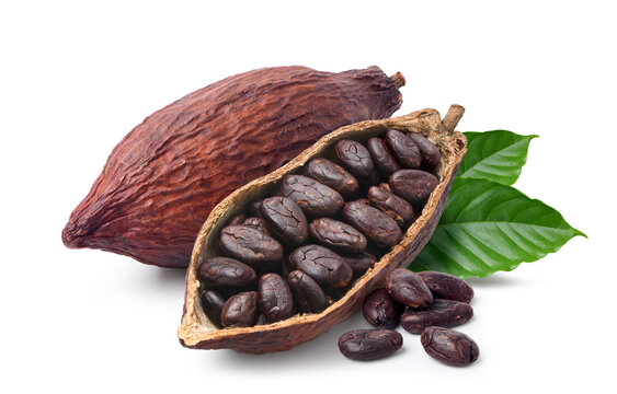 Cocoa beans with cocoa pod isolated on white background. Clipping path.