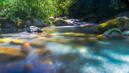 Photograph of a small river located in the Catalan Pyrenees