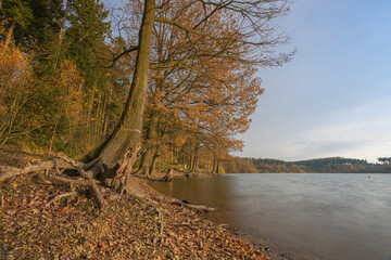 Brucher Talsperre ein See an einem sonnigen Tag mit bunten herbstlichen Farben der Bäume und blauem Himmel