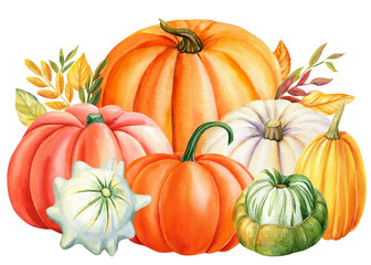 Autumn multicolored Pumpkins on an isolated white background, watercolor painting, hand drawing