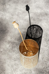 Poppy plant with a seed-head on a black background. Top view.