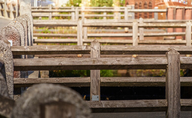 Rustic wooden railings that lead one behind the other over small footbridges at the back of residential buildings next to a stream in the Harz town of Stolberg