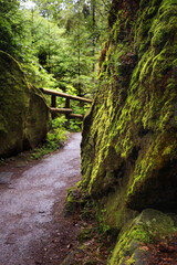 Natural landscape - view of hiking trail in the Elbe Sandstone Mountains, Bohemian Switzerland or Czech Switzerland, the north-western Czech Republic