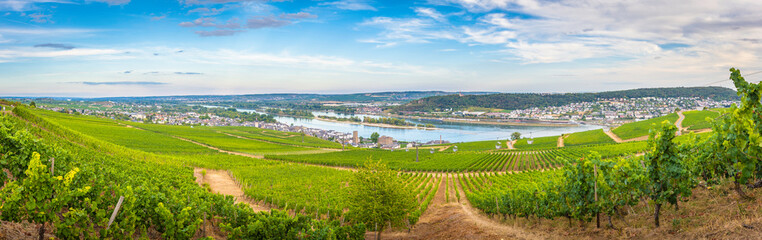 Rüdesheim am Rhein