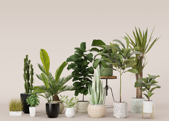 Home plants in pots on beige background with copy space for your advertisement text or logo. Plants store, green interior details. Potted plants sale. 3d rendering.