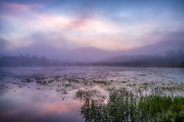 Early Morning fog at Schroon Lake - 528684574