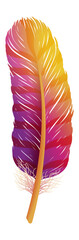 Bright rainbow feather from exotic bird wing