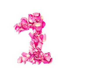 number 1 made from pink petals rose. Pink roses. Element for decoration.