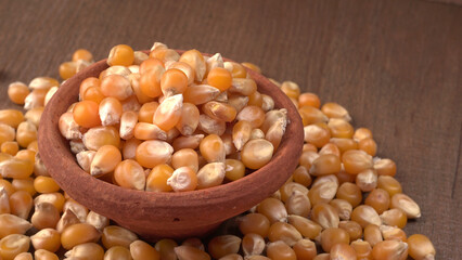 Raw Corn Seeds or Corn kernels are from Maize is a grain, and the kernels are used in cooking as a vegetable or a source of starch.