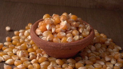 Raw Corn Seeds or Corn kernels are from Maize is a grain, and the kernels are used in cooking as a vegetable or a source of starch.