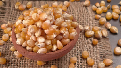 Raw Corn Seeds or Corn kernels are from Maize is a grain, and the kernels are used in cooking as a vegetable or a source of starch.