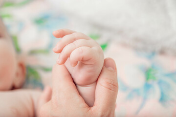 Small children's pens. Parents gently hold small children's hands. Close-up of the baby's hand and...