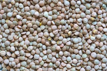 green lentils background