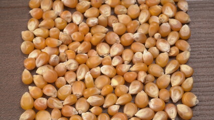 Raw Corn Seeds or Corn kernels are from Maize is a grain, and the kernels are used in cooking as a vegetable or a source of starch.