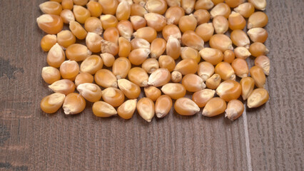 Raw Corn Seeds or Corn kernels are from Maize is a grain, and the kernels are used in cooking as a vegetable or a source of starch.