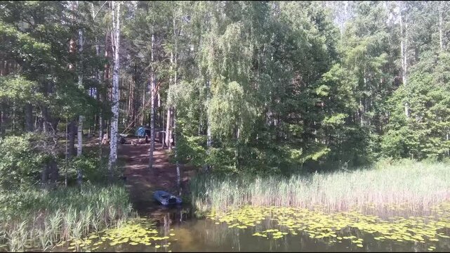 fpv drone flight over blue lakes in a green forest over water, blue sky white clouds, beauty nature animals birds