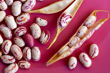 Cranberry beans on isolated pink background.