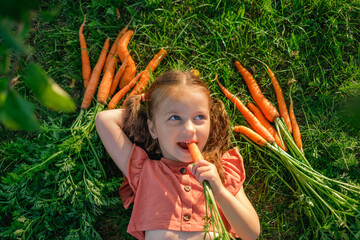 A cute girl with ponytails looks thoughtfully to the side, biting a juicy fresh carrot from the...
