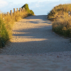Un lever de soleil à l& 39 heure d& 39 or sur les dunes de sable près de la mer du Nord aux Pays-Bas vu de la plage de Zouteland, en Zélande. Avec les sentiers typiques d& 39 herbe et de sable pour des promenades étonnantes.