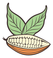 Open cocoa bean with leaves. Color cacao icon