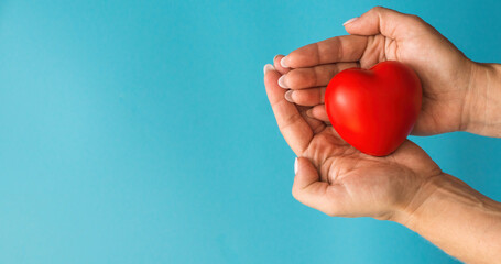 close-up of female hands holding a red heart on a blue background, copyspice on the left. The concept of mother's heart, female love, donation, mother's heart health.