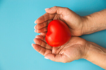 Concept of mother's heart, woman's love. Heart health, cardiology.Female hands holding a heart on a blue background.Mother's day, love for children. Love giving theme