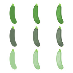 A vector drawn courgette illustration with various colors and amount of details