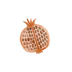 Watercolor illustration of pomegranate isolated on white background.