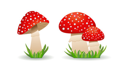 Inedible mushrooms fly agaric. mushroom toadstool. Vector illustration