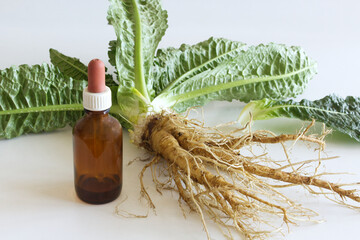 Preparation of alcohol tincture from wild teasel root .In folk medicine, their roots are used to...
