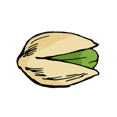 ピスタチオ単数＿シンプル線画カラーイラスト