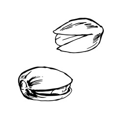 ピスタチオ複数＿シンプル線画モノクロイラスト