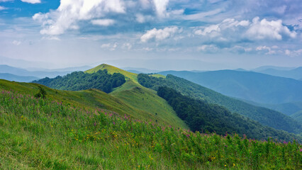 Mountain pastures in the Carpathian mountains. Green summer landscape