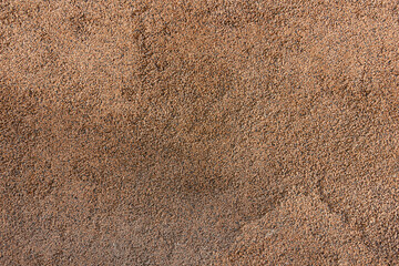 Wall background. Brown texture with sunlight.