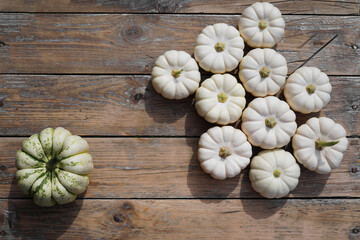 Happy Thanksgiving concept. Autumn composition with white pumpkins on wooden table. Flat lay, top view, copy space.