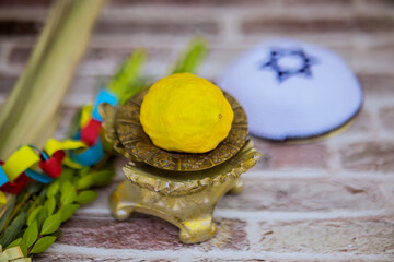 The traditional symbols for Jewish holiday are used celebrations like Sukkot are the etrog, lulav, hadas, and arava