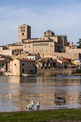 Zamora Romanesque cathedral and bell towers since Duero river. Spain