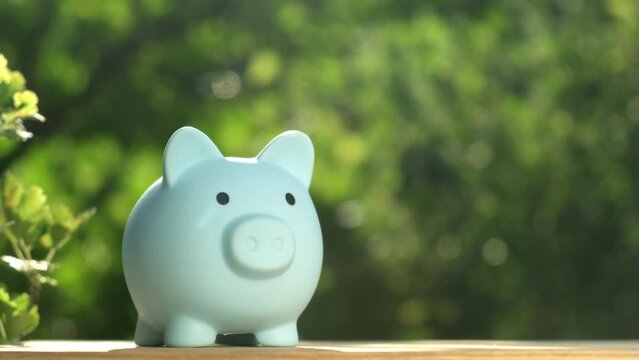 Hand putting coins into piggy bank on green nature background in rays of sun