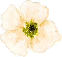 Watercolor Flower Element