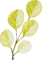 Watercolor Leaves Branches
