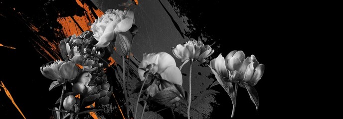 White peonies on a black background, black and white image, orange paint on the background.