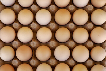 close-up of brown eggs in egg carton