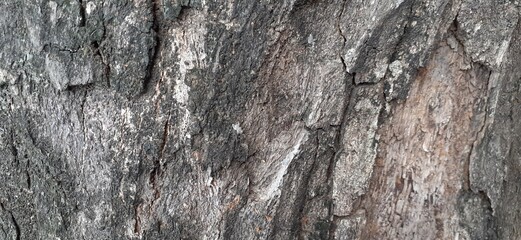 old wood texture