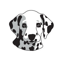 Cute Dalmatian puppy head vector illustration