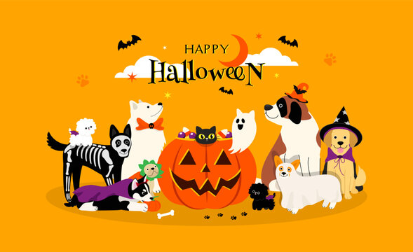 Happy Halloween pet greeting card Vector illustration. Adorable dogs in Halloween costumes with big pumpkin.