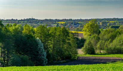 Naklejka premium Landscape in the spring
