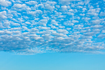 Altocumulus clouds, summer sky cloudscape - obrazy, fototapety, plakaty