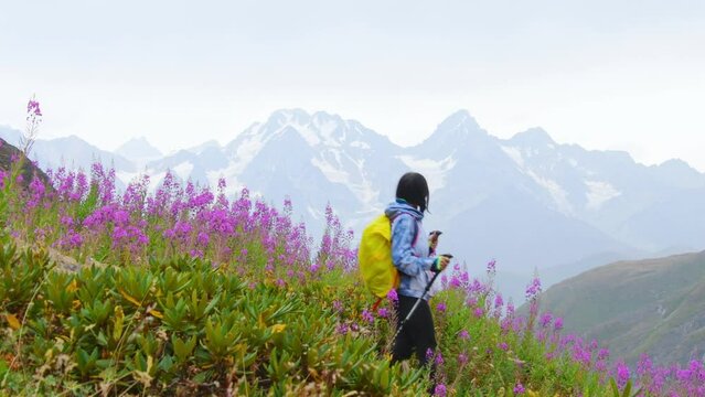 Side view tracking fit sporty female hiker with nordic walk sticks stand on viewpoint uphill in green hiking trail in caucasus mountains .Recreational activities and healthy lifestyle